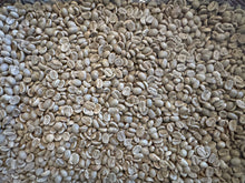 Load image into Gallery viewer, Unroasted Organic Guatemala Green Beans