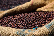 Load image into Gallery viewer, Ethiopian Guji Coffee | Single Origin | Organic | Fresh Roasted - Nature Source Coffee
