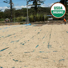 Load image into Gallery viewer, Papua New Guinea Single Origin Coffee | Organic | Fresh Roasted
