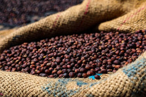 Robusta Coffee | Dark Roast | Organic | Pure Robusta | High Caffeine | Fresh Roasted