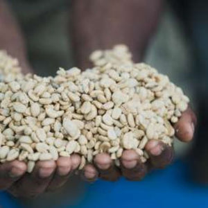 Papua New Guinea Single Origin Arabica Coffee, Medium | Specialty Roasted Coffee - Nature Source Coffee